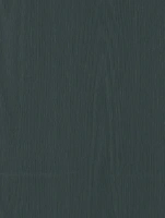 (2368) HR - CT58 Faded Grey - (Mat)