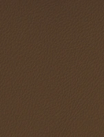 (2553) LP01 - Cognac - (Mat)