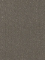 (1832) NE48 - Hard Copper - (Métallisé)