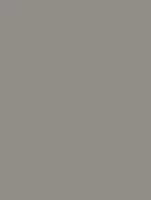 (2273) NE79 - Elephant Grey - (Mat)