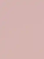 (1935) NF03 - Dusty Rose - (Mat)