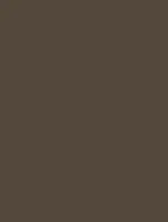 NF09 - Cacao