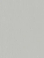 (2248) NF20 - Crispy Gray - (Mat)