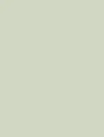 (2286) NH05 - Pistachio Green - (Mat)