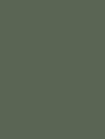 (2288) NH08 - Forest Green - (Mat)