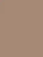 (2255) NH12 - Baked Clay - (Mat)