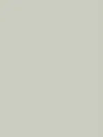 (1944) NH21 - Soft Green - (Mat)