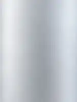 (2597) NL1 - Mirror Silver - (Métallisé)