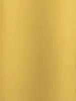 (2608) NL2 - Mirror Gold - (Métallisé)