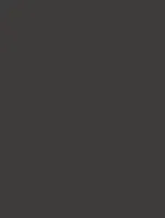 (1956) RM06 - Anthracite Grey - (Mat)