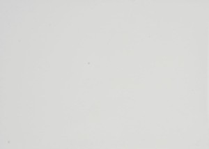 Gris clair (Haute brillance) - DFC1