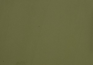 Vert olive (Mat) - DFC2