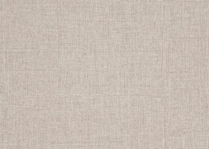 Toile beige - DFT3